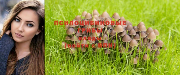 ПСИЛОЦИБИНОВЫЕ ГРИБЫ Абдулино