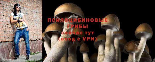 ПСИЛОЦИБИНОВЫЕ ГРИБЫ Абдулино